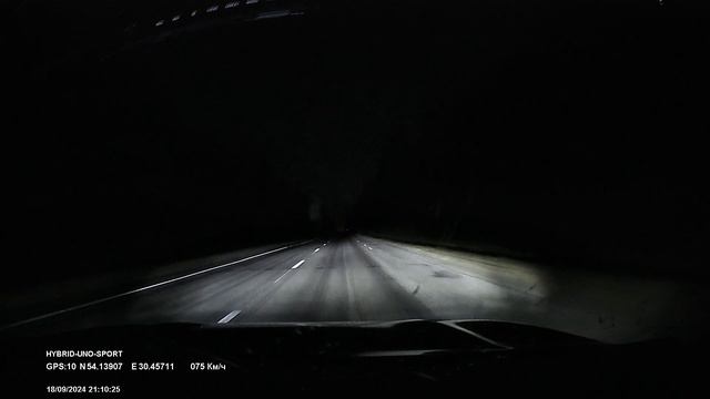 Лось на дороге смотреть онлайн