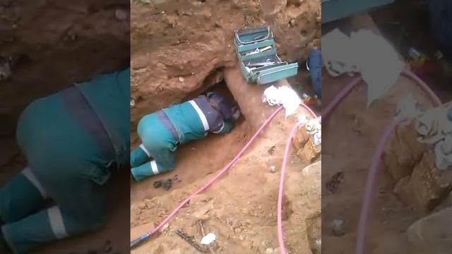 Несвиж раскопки смотреть онлайн