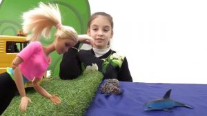 Сборник видео - куклы Барби и Штеффи. Играем с дельфином и спасаемся со льдины! Игры для девочек