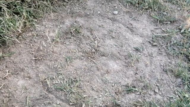 5МИНУТТА ПЕШ СОҒУ, УАҚЫТША ПЕШ ТЕЗ ЖЫЛДАМ. смотреть онлайн