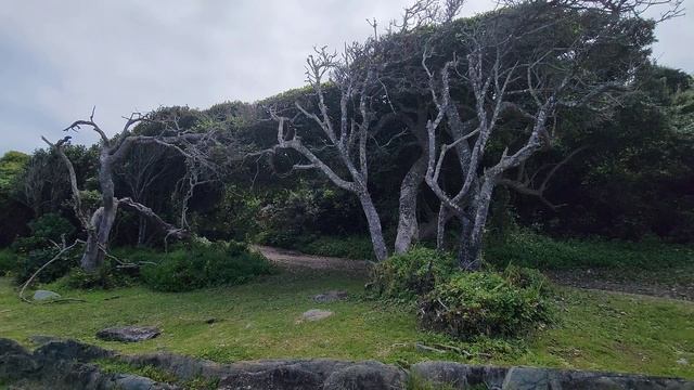 S1 – Ep 198 –Tsitsikamma National Park – A Beautiful Protected Area on the Garden Route! смотреть онлайн