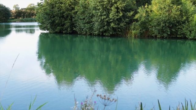 forumfest september 2020 смотреть онлайн