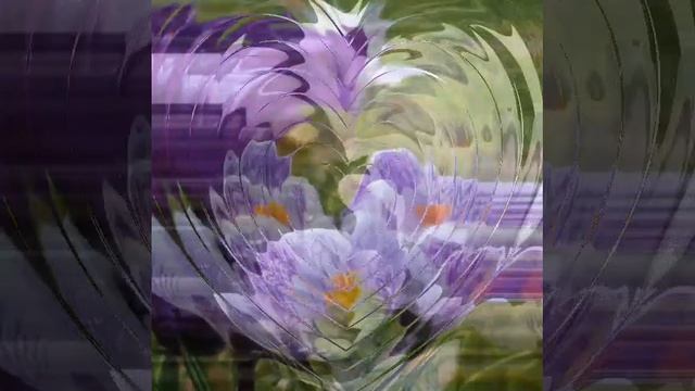 День крокусов-12 марта! смотреть онлайн