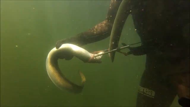 на подводную охоту с Саней Карбонеллом