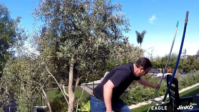 How To Clean Solar Panels