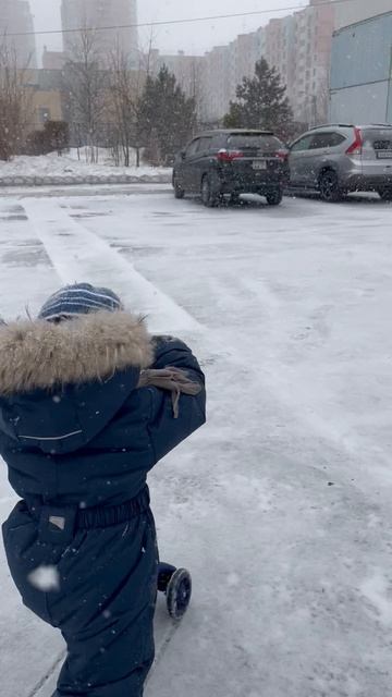 Володя едет на самокате по снегу смотреть онлайн