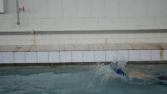 соревнования бассейн Дельфин г. Семей смотреть онлайн