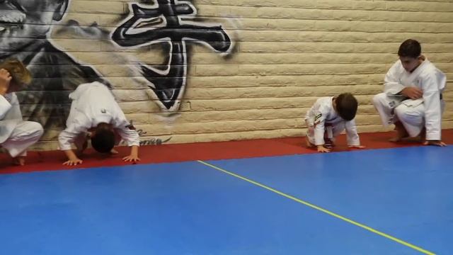 Chevron Test at Okinawa Dojo - teaser