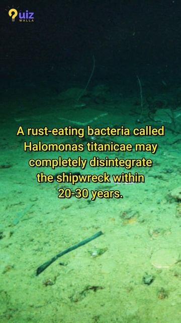 Untold Story of Titanic's Tragic End: Why its Wreckage may Disappear Forever смотреть онлайн