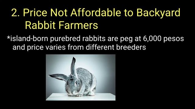 Rabbit Importation Issues: Its Benefits and Disadvantages, Kamay Kaalaman смотреть онлайн
