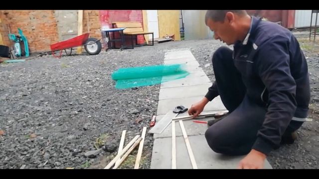 собака проказничает смотреть онлайн