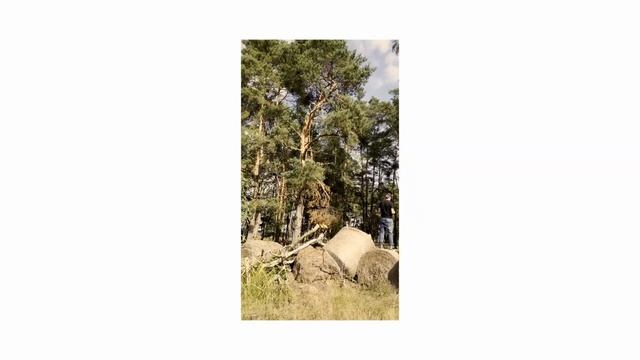 #FPV LAST WEEKEND OF SUMMER - FOREST CRUISING смотреть онлайн