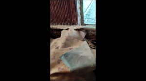 чеченцы в заброшке