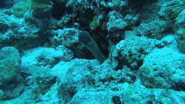 MORENA MARINA смотреть онлайн