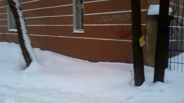 Забор на дороге сломал… здравый смысл?