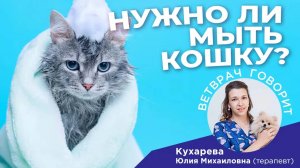 Советы ветеринаров： Нужно ли мыть кошку и как часто можно её купать