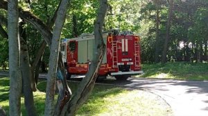 Пожарные со всеми звуками сирен