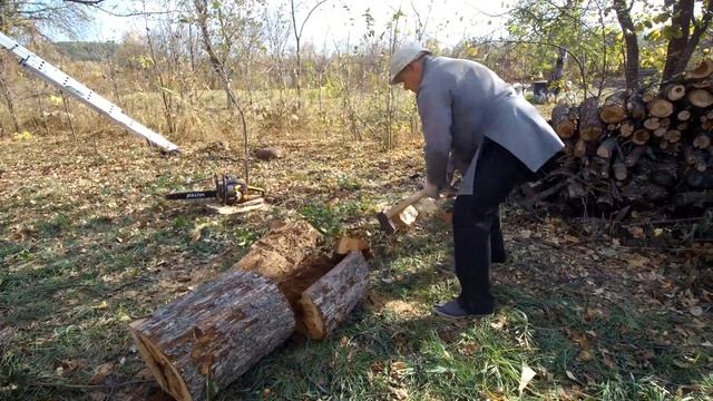 Пилим, рубим и сажаем: день сада смотреть онлайн