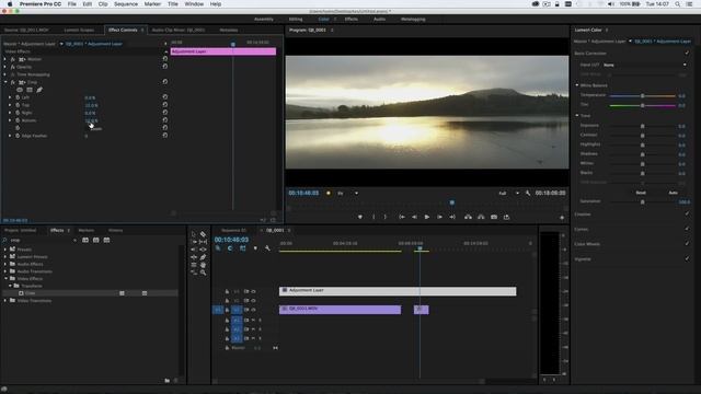 How to turn 16:9 video into 2.35:1 Anamorphic in Premiere Pro and how to export WITHOUT black bars смотреть онлайн
