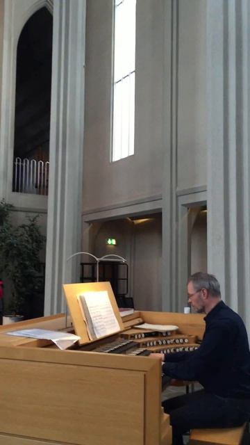 Hallgrimskirkja Organ смотреть онлайн