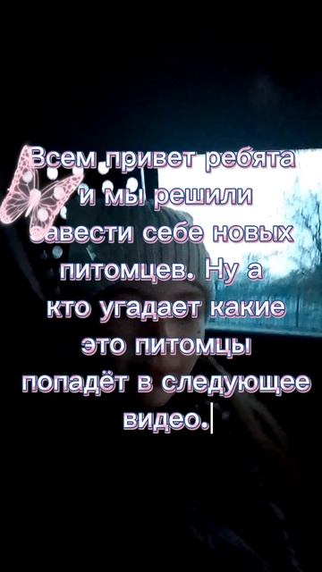мы решили завести себе новых питомцев смотреть онлайн