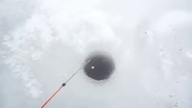 SAM 0006 Рыбалка с Рыжим другом . смотреть онлайн