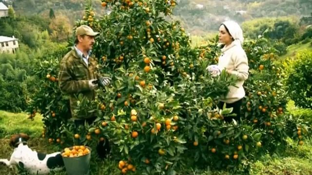 შაბათს, 12 დეკემბერს, 18:00 საათზე - 