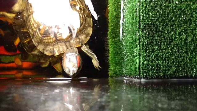 Грунт для пресноводных черепах!!!! От ,,А