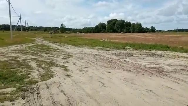 Участки ИЖД в КУЛИКОВО Зеленоградского района смотреть онлайн
