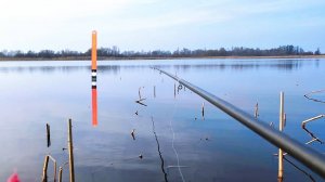 Первая весенняя ПЛОТВА на ПОПЛАВОК! РЫБАЛКА 2025!!!