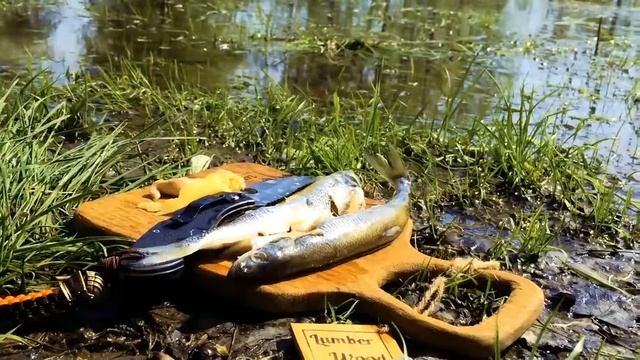 Еда на природе_Похороны корюшки под пение птиц 720p