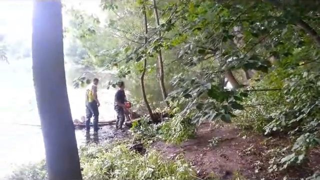 Вырубка в Наташинском парке 08 07 2013 смотреть онлайн