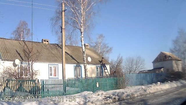 Как правильно спилить дерево смотреть онлайн