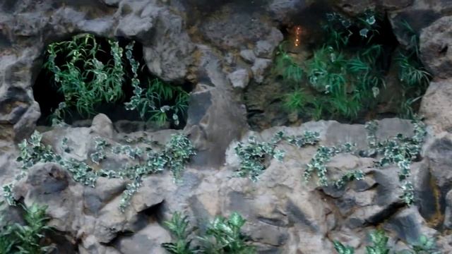 В пингвинарии Лоро Парка. Тенерифе 2015.