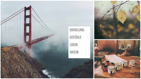 Artikel 
Philosophie