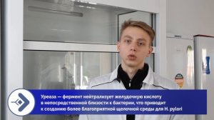 Хеликобактер: Быстрая и Эффективная Диагностика с ИХА-Хелико!