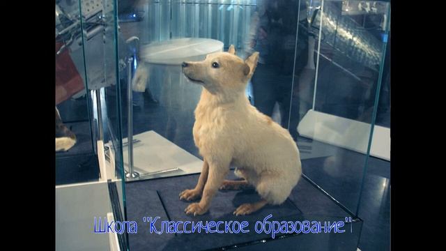 Экскурсия в музей Космонавтики — 2015 год | Частная школа КЛАССИЧЕСКОЕ ОБРАЗОВАНИЕ смотреть онлайн