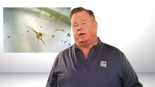 What is Total Organic Carbon? смотреть онлайн
