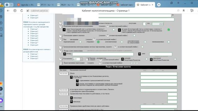 Новая 910 Форма.Жаңа 910 Форма.Как заполнять Новую 910 форму.