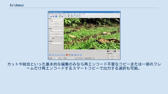 Avidemux смотреть онлайн