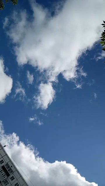 25 июля 2024 г. смотреть онлайн