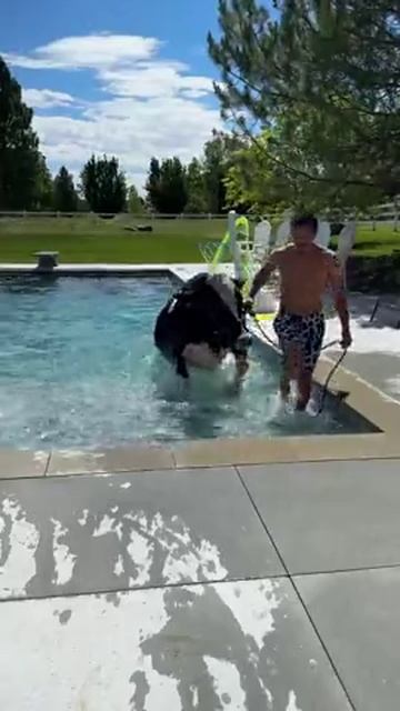 Провёл выходные с тёлочкой в бассейне 😎 смотреть онлайн