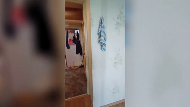 1 к.кв Зеленоград, к.1107 смотреть онлайн