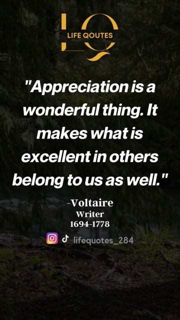 Voltaire's Quotes Reminder for better life #lifequotes #quotes #shorts #motivation #voltairequotes смотреть онлайн