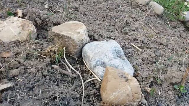 Работа возле дома смотреть онлайн