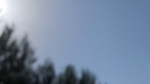 Почтовые голуби￼ Молодёжь￼ 30-08-22 смотреть онлайн