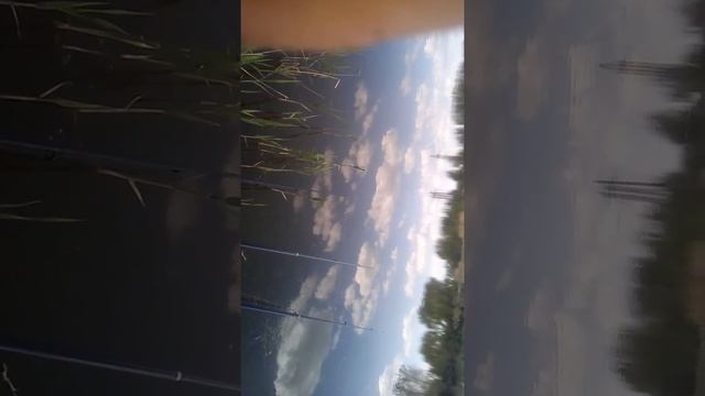 Майская рыбалка