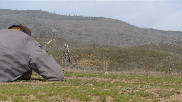 243 Winchester 350, 500, 850 yards смотреть онлайн