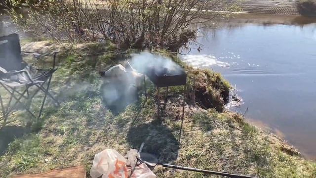 Семейный отдых на природе. Шашлык, грибы, мангал и прочие радости. #live #travel #люблюприроду смотреть онлайн