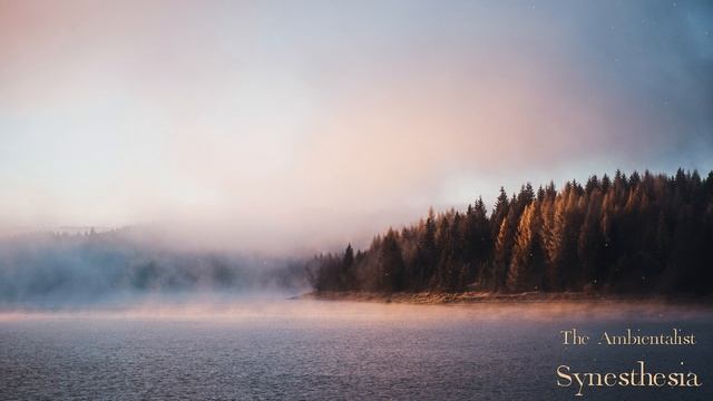 The Ambientalist - Synesthesia - The Ambientalist (1080p, h264) смотреть онлайн